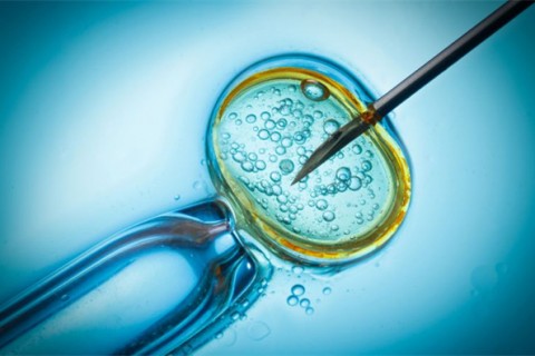 http://nanning.qqkaixin.com/post/199.html|南宁供卵助孕